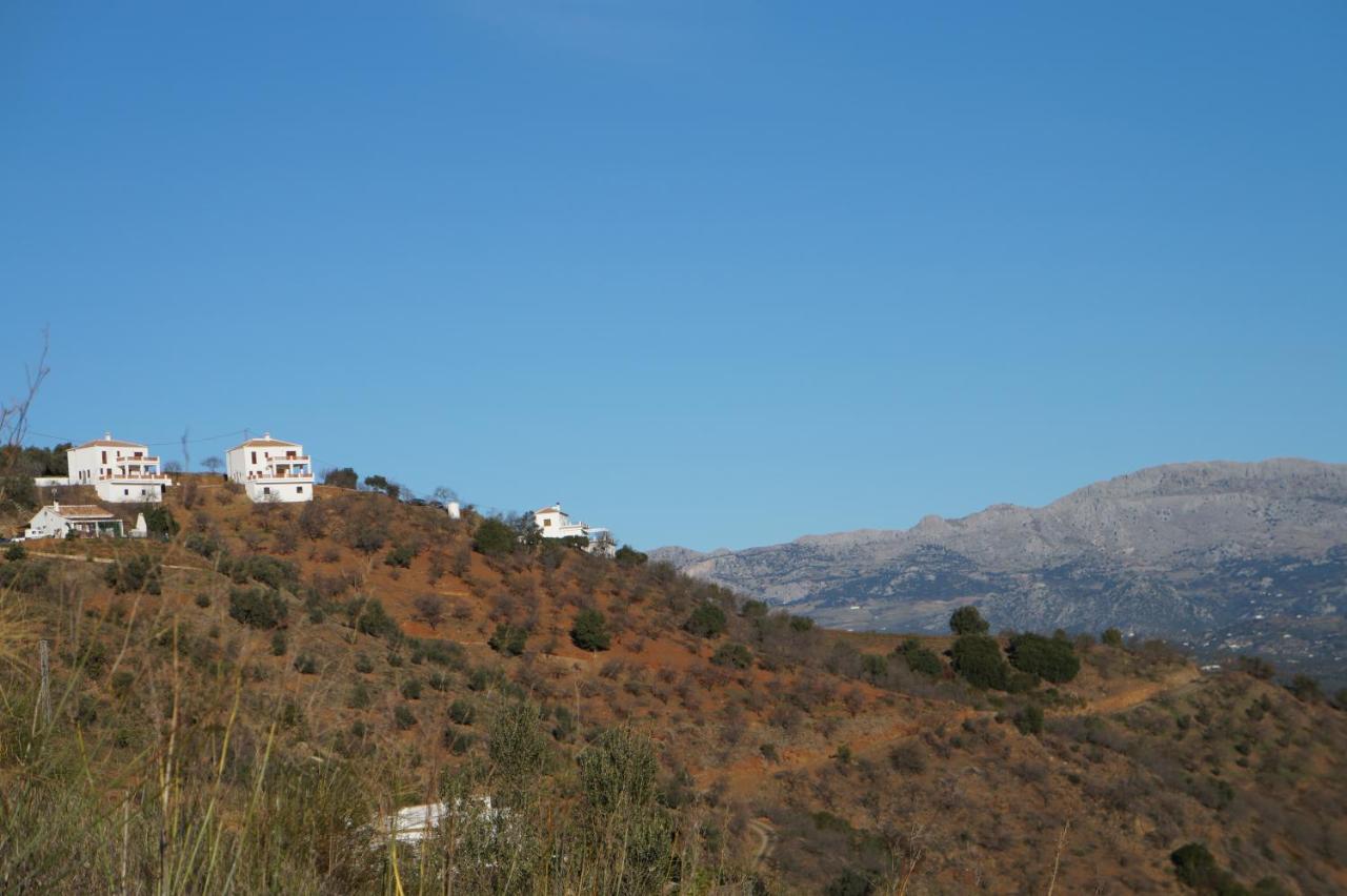 Apartment Vine Ridge And *