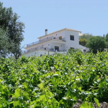 Vine Ridge Studio, Apartment&Pool side Studio Comares Esterno foto