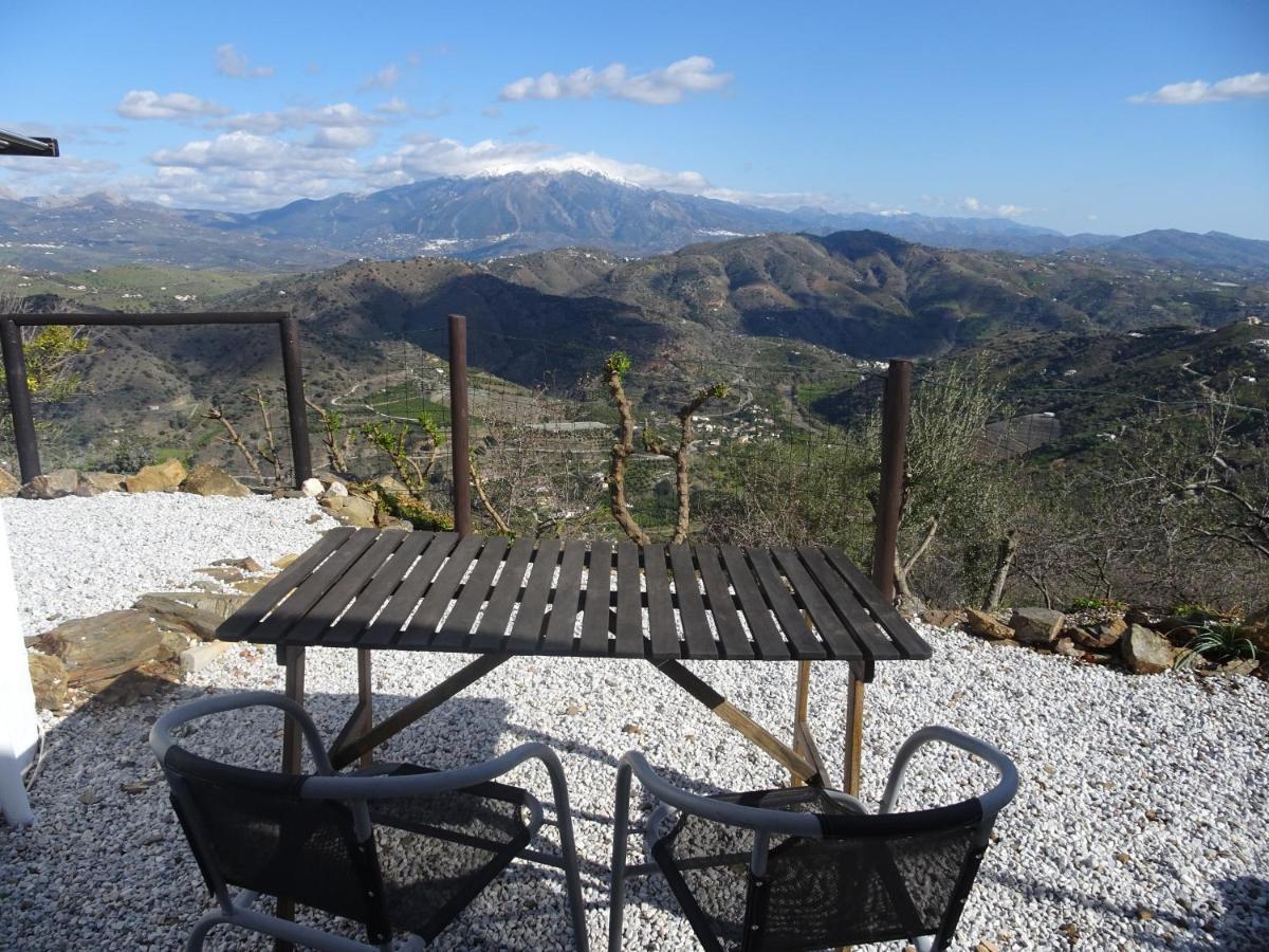 Vine Ridge And Comares