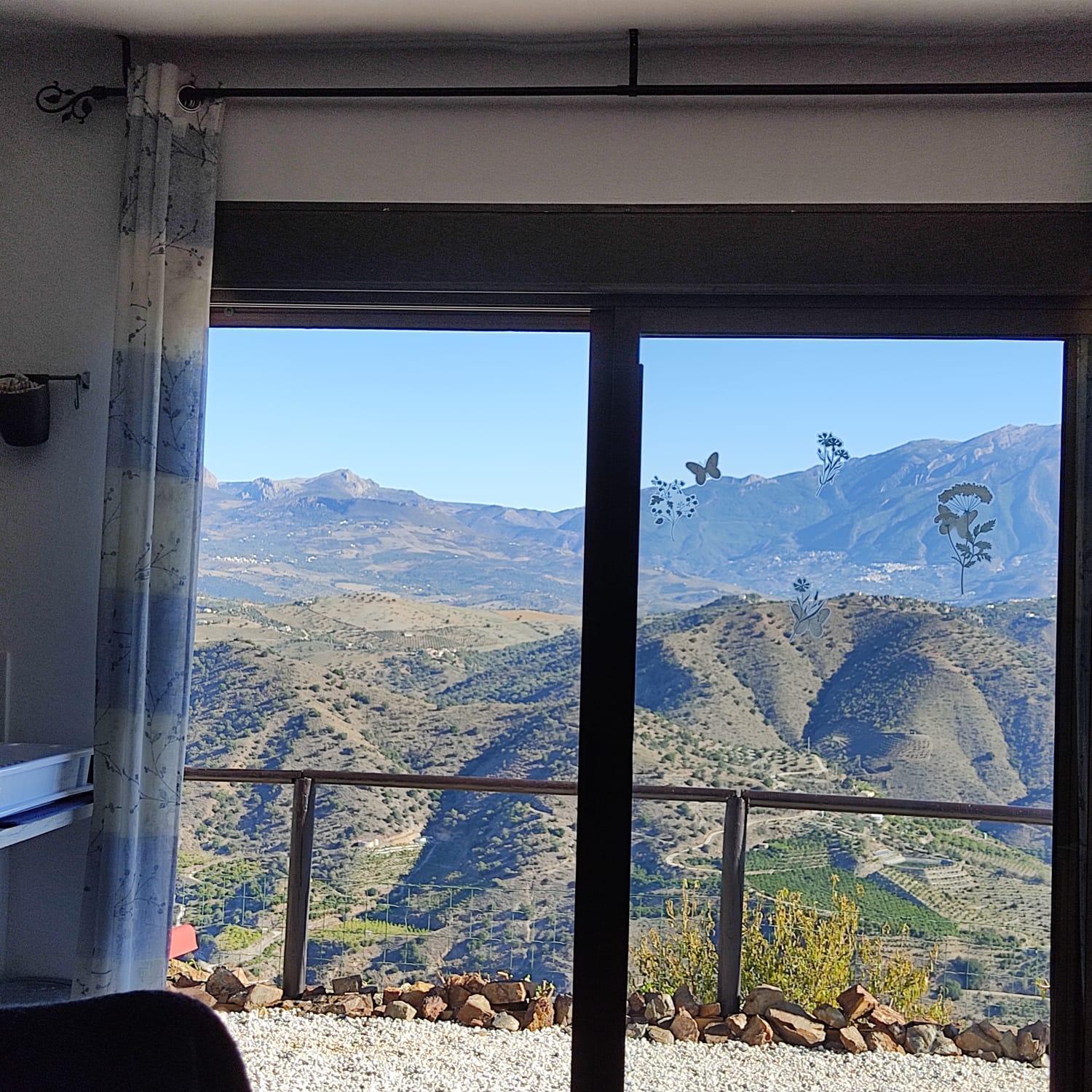 Vine Ridge And Appartement
