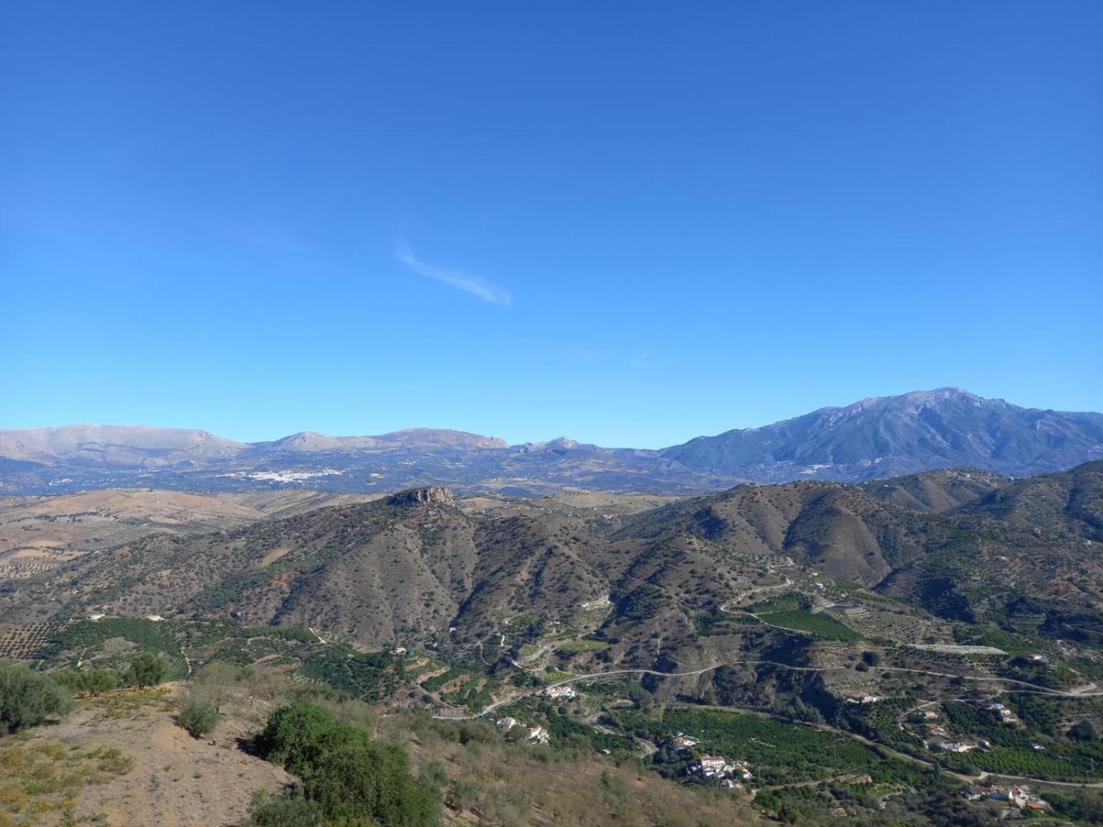 Vine Ridge And *
