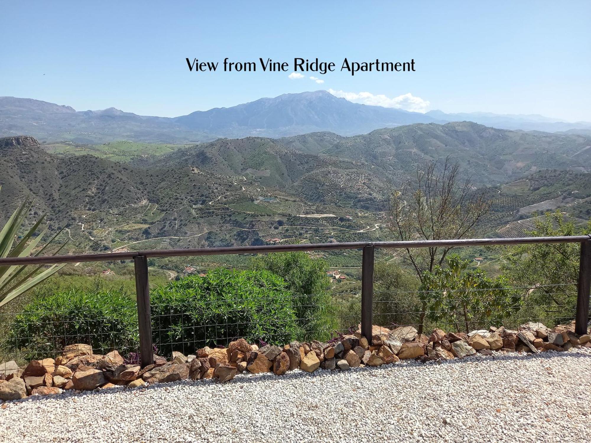 Vine Ridge And * Comares