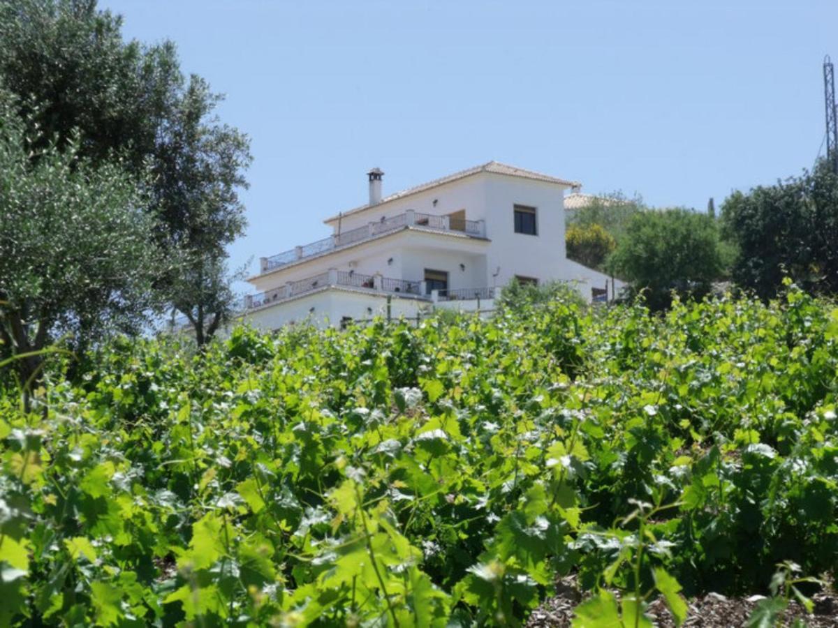 Appartement Vine Ridge And